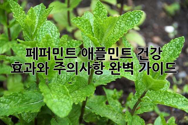 페퍼민트 애플민트: 건강 효과와 주의사항 완벽 가이드