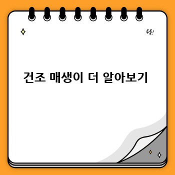 건조 매생이 더 알아보기